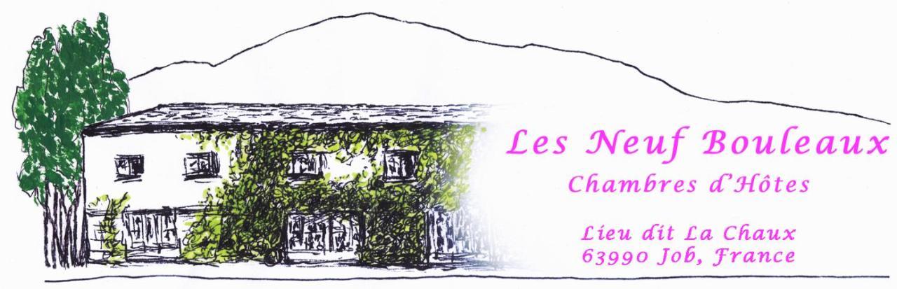 Les Neuf Bouleaux Bed and Breakfast Job Buitenkant foto