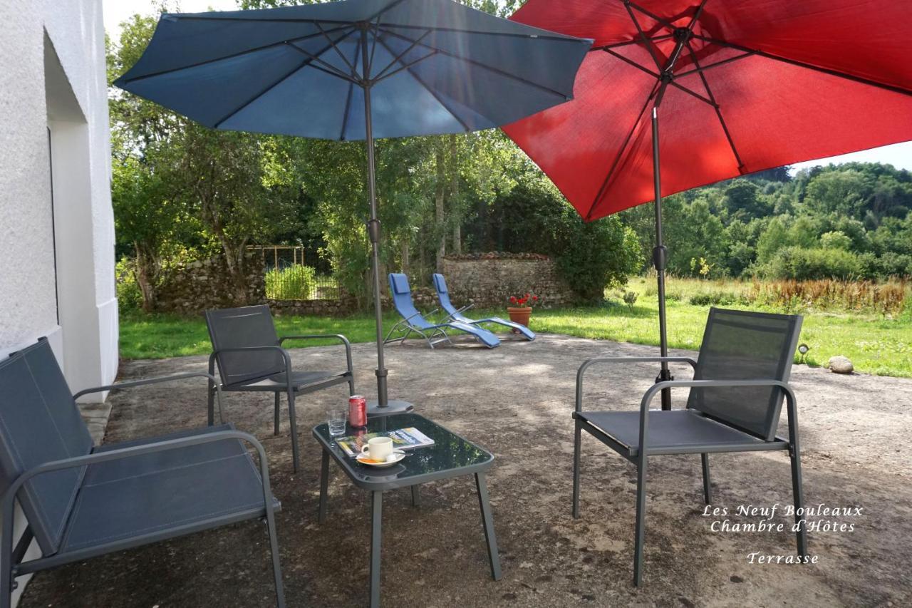 Les Neuf Bouleaux Bed and Breakfast Job Buitenkant foto