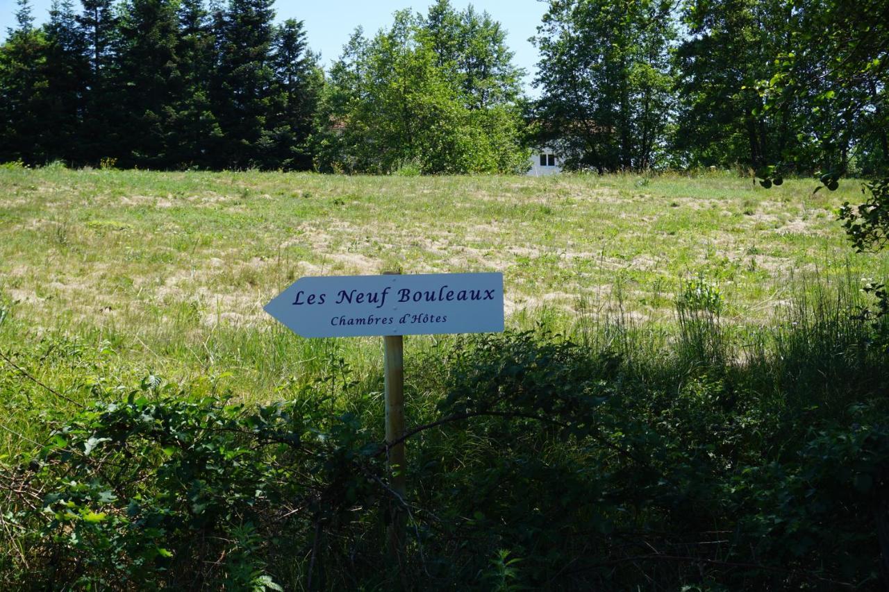 Les Neuf Bouleaux Bed and Breakfast Job Buitenkant foto